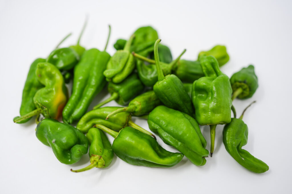 A pile of raw shishito peppers, featuring small, slender, bright green pods with wrinkled surfaces, scattered on a clean white background.