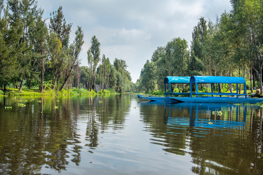 A picturesque view of the Xochimilco canal, featuring a colorful trajinera (traditional flat-bottomed boats) floating on the calm water, surrounded by lush greenery