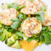 A vibrant Citrus Shrimp and Grilled Leeks Salad featuring smoky grilled shrimp, tender leeks, fresh watercress, creamy avocado slices, and juicy orange segments, all tossed in a citrus vinaigrette and garnished with fresh cilantro and toasted sesame seeds.